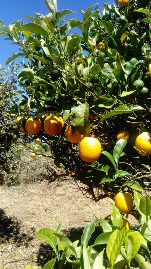 Garafía El Limoneroゲストハウス エクステリア 写真